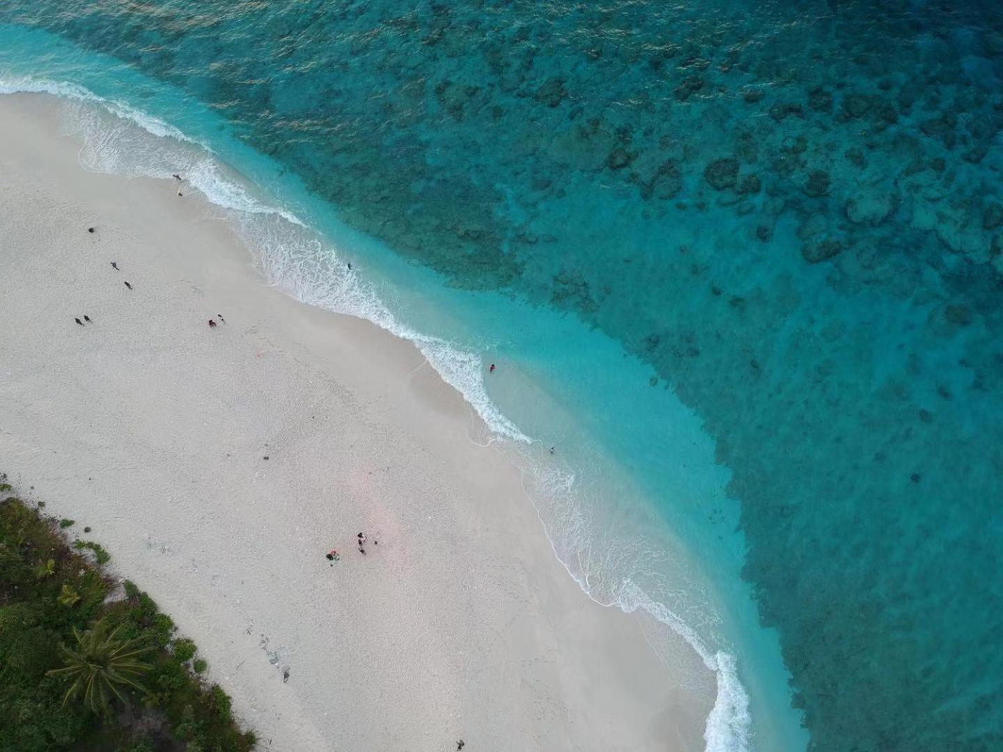 Tiger Shark Residence & Dive Fuvahmulah المظهر الخارجي الصورة