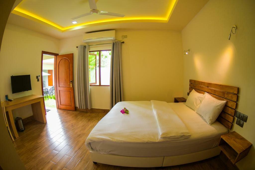 Tiger Shark Residence & Dive Fuvahmulah المظهر الخارجي الصورة